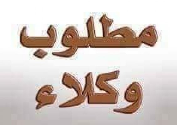 هاوس بلاست تيب الاسم الاول في مجال التعبئه والتغليف  متوفر جميع انواع الأشرطة الاصقه 