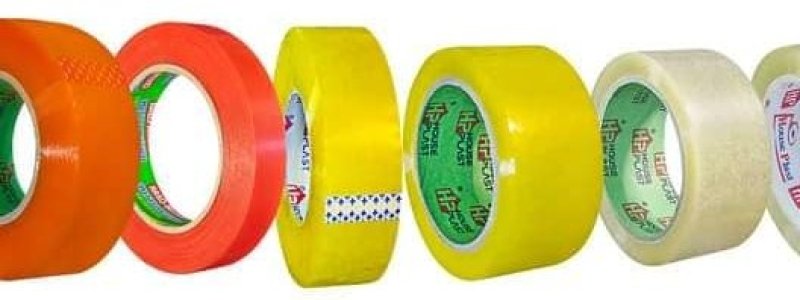 البكر الاصق بكر سلوتيب